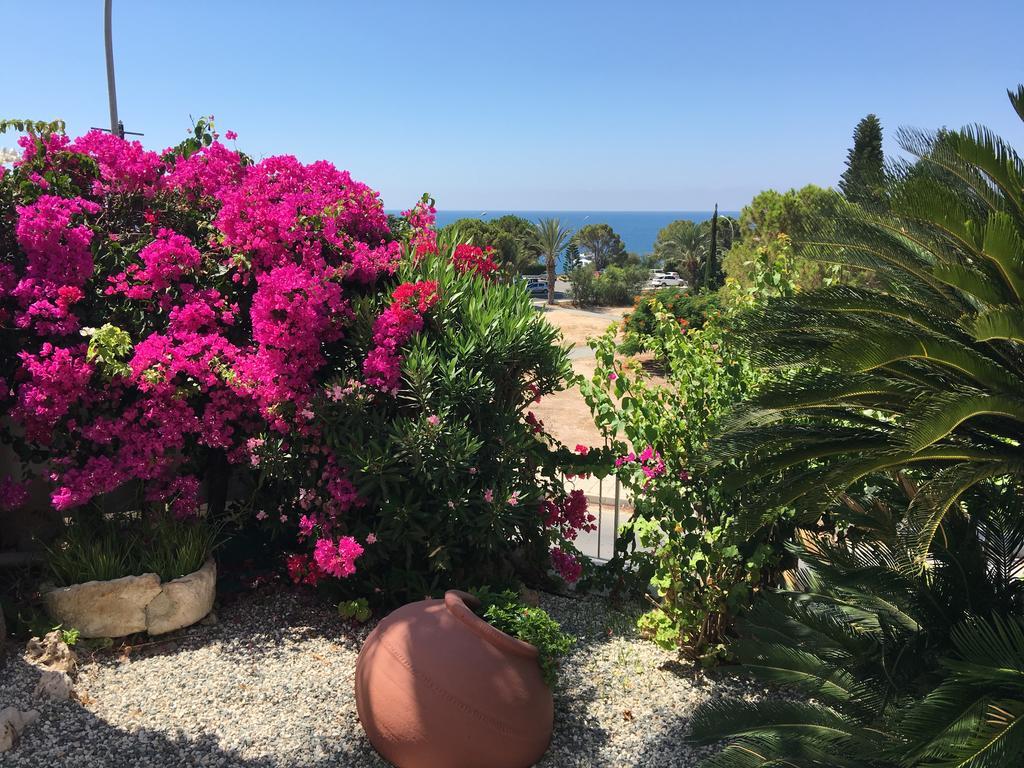 Villa Neyla Four Bedroom Coral Bay Beach Front المظهر الخارجي الصورة